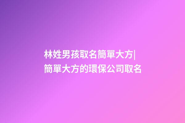 林姓男孩取名簡單大方|簡單大方的環保公司取名-第1張-公司起名-玄機派